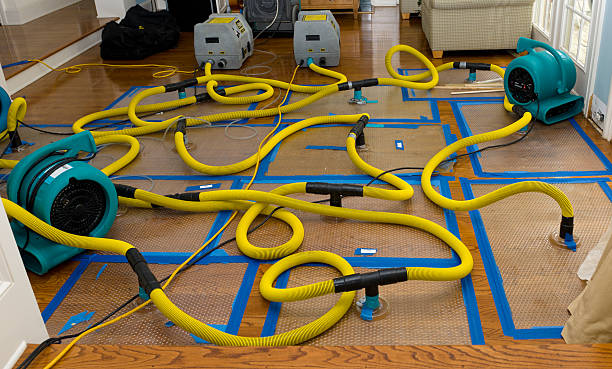 Professional Storm Water Damage Restoration technician working in Dixon, IL